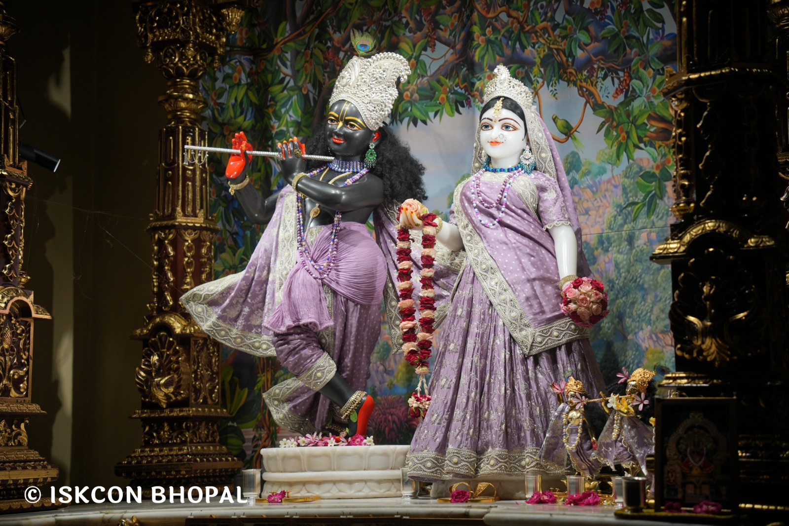 WhatsApp Image 2026-04-29 at 08.05.10