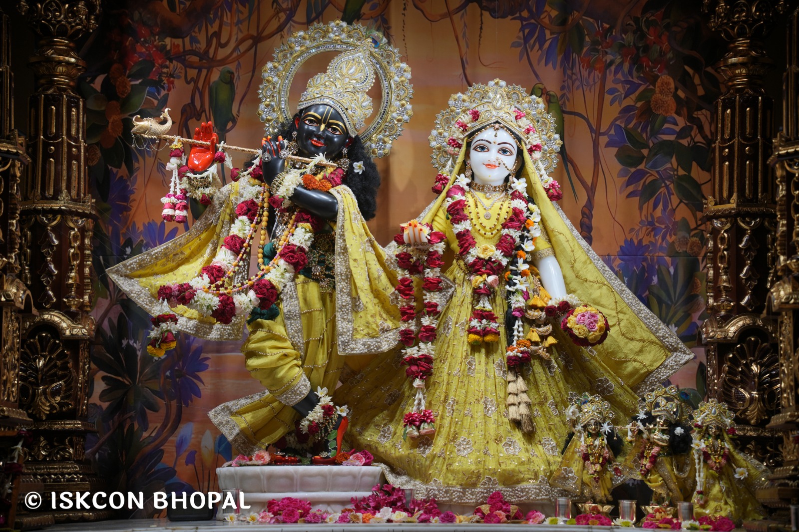 WhatsApp Image 2026-04-29 at 08.06.53