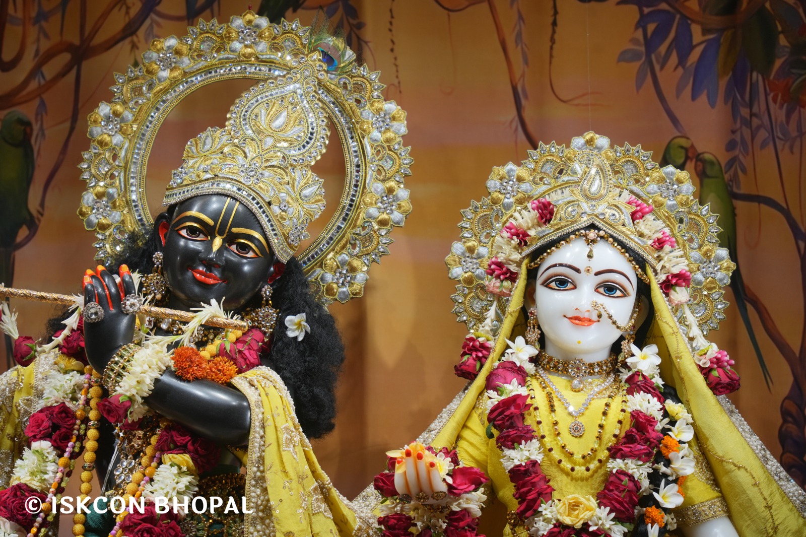 WhatsApp Image 2026-04-29 at 08.06.55