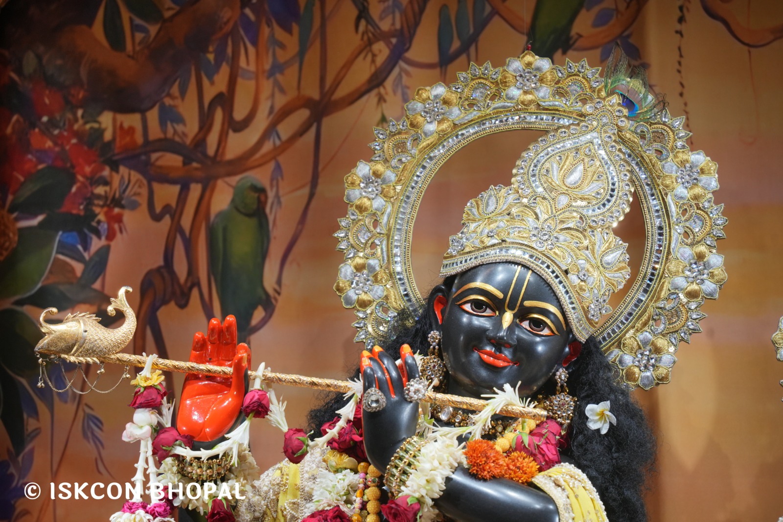 WhatsApp Image 2026-04-29 at 08.06.59