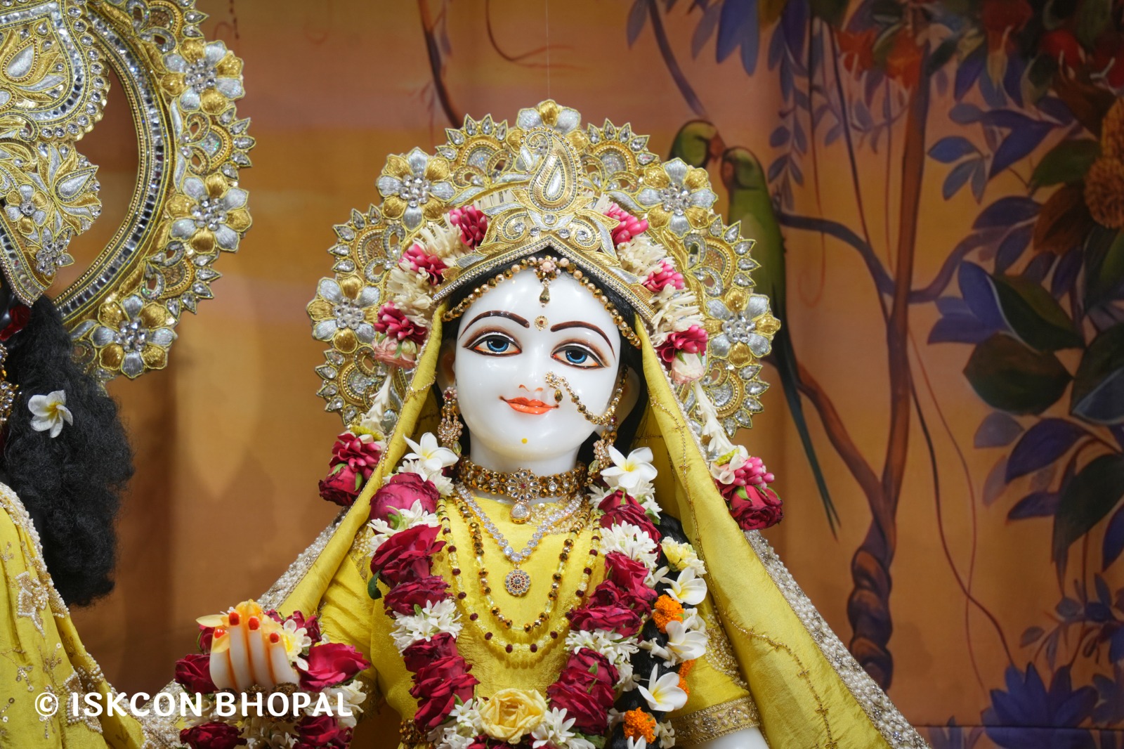 WhatsApp Image 2026-04-29 at 08.07.00