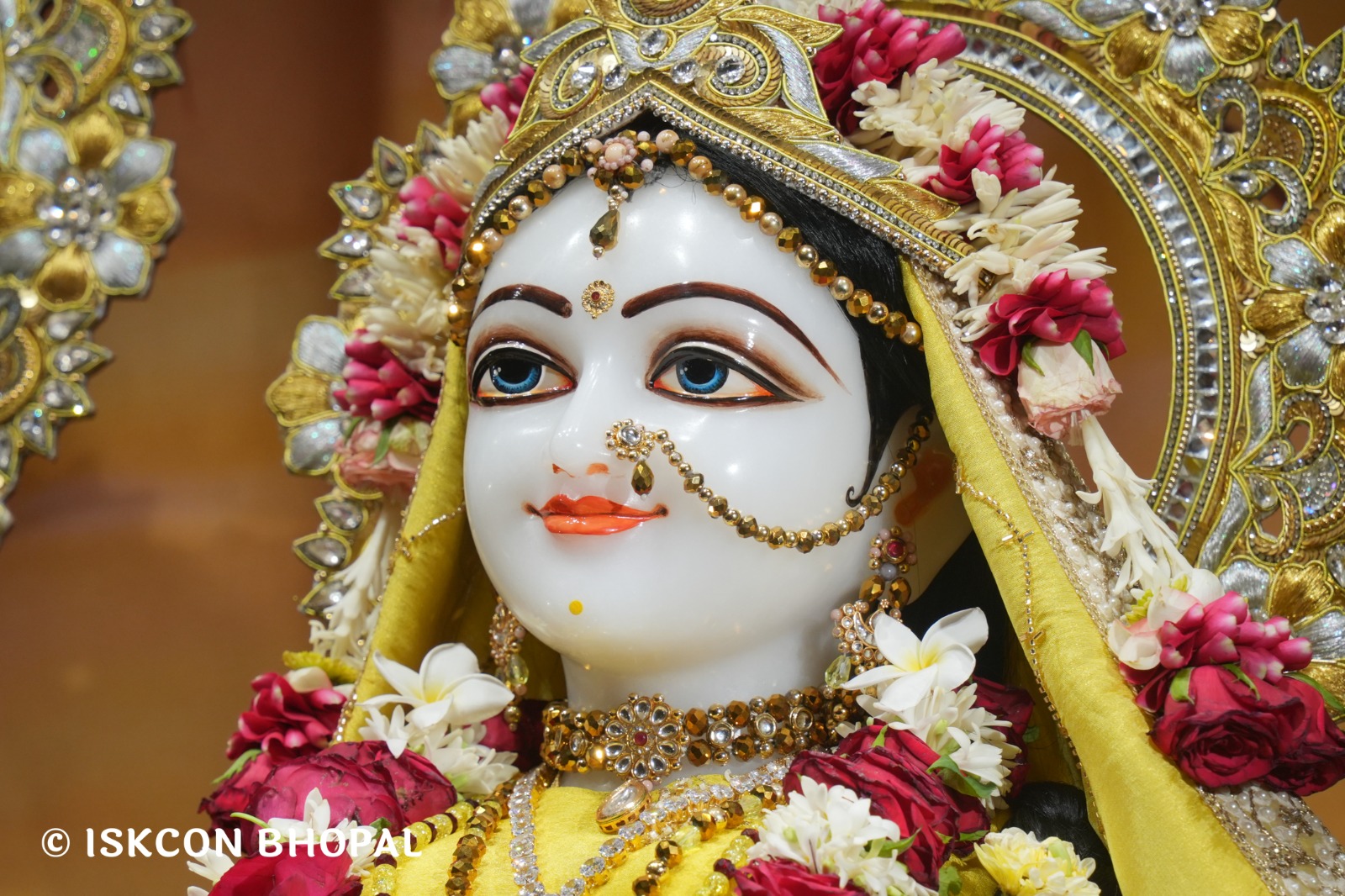 WhatsApp Image 2026-04-29 at 08.07.22