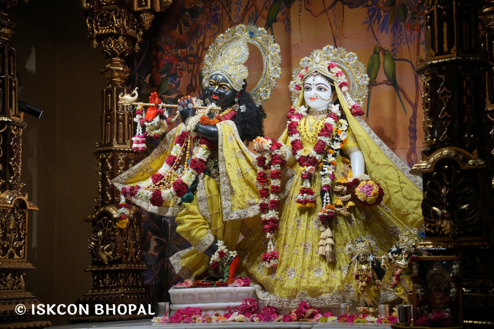 WhatsApp Image 2026-04-29 at 08.07.24