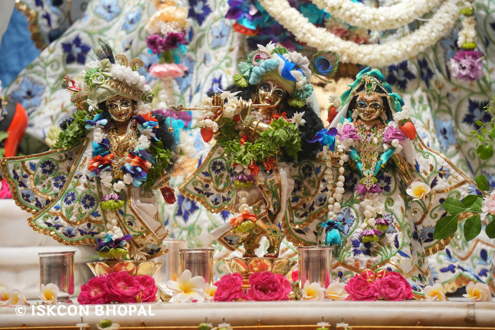 WhatsApp Image 2026-04-30 at 07.47.35