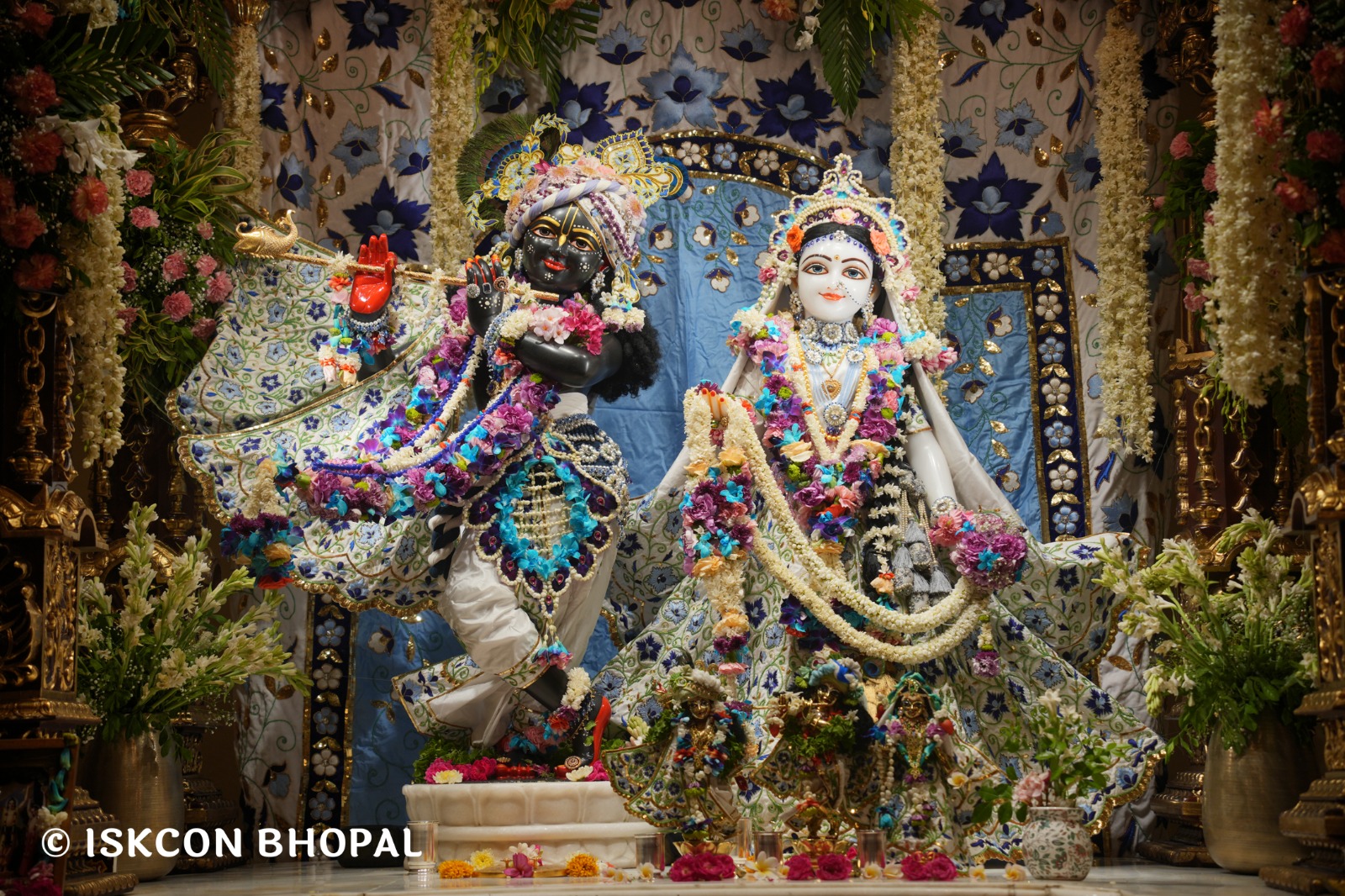 WhatsApp Image 2026-04-30 at 07.47.50