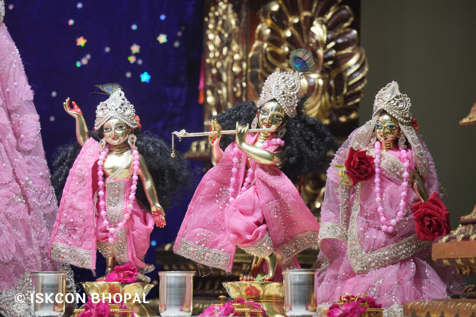 WhatsApp Image 2026-06-12 at 10.05.26