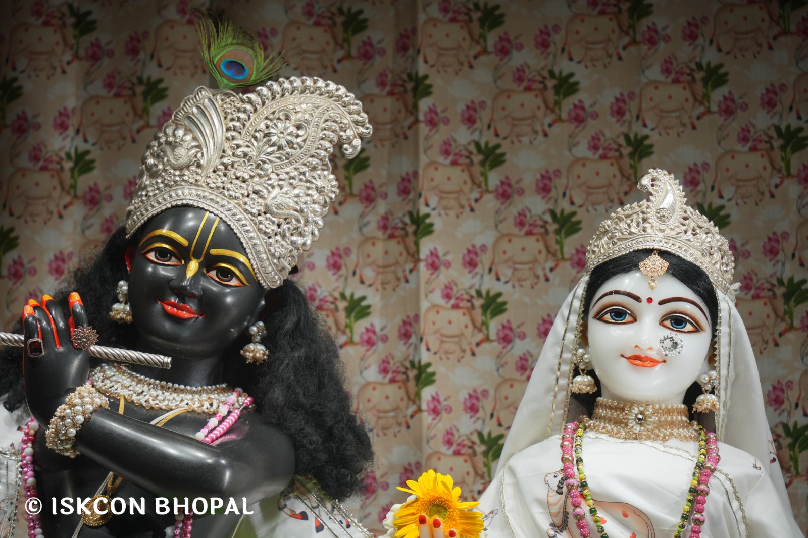 WhatsApp Image 2026-06-27 at 10.12.11