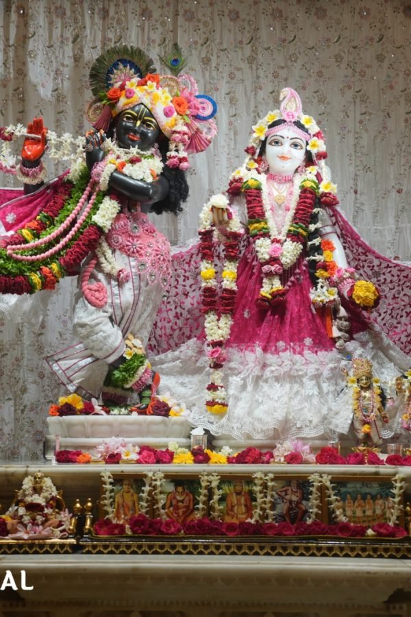 WhatsApp Image 2026-07-11 at 07.55.30